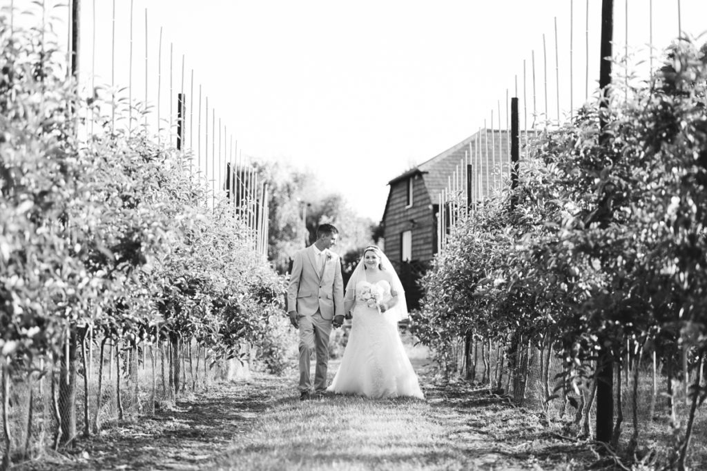 the barnyard upchurch twilight wedding