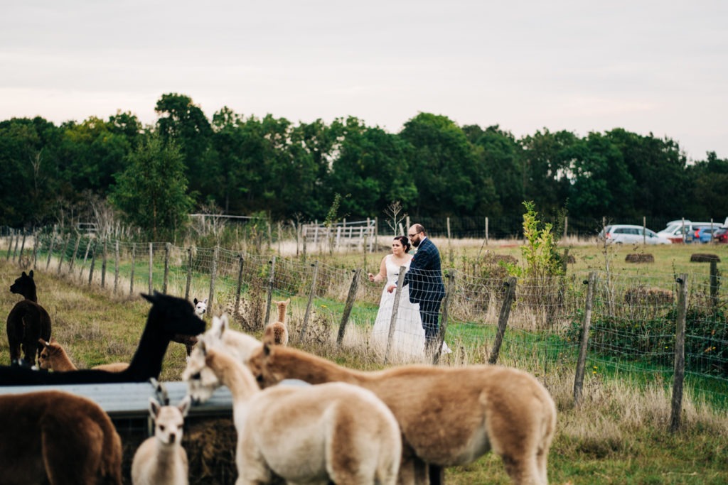 Bride and Groom at Valley View Alpaca Farm wedding
